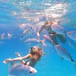 Gasthuis Flamingo Poetto Quartu SantʼElena