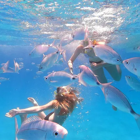 Casa de hóspedes Flamingo Poetto Quartu SantʼElena