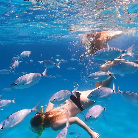 Maison d'hôtes Flamingo Poetto