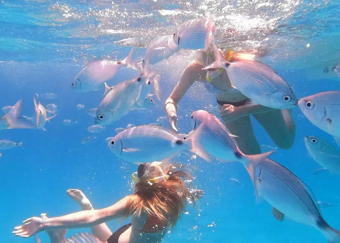 Pensjonat Flamingo Poetto Quartu SantʼElena